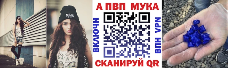APVP СК  Выборг 